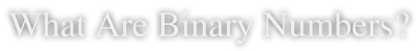 What Are Binary Numbers?